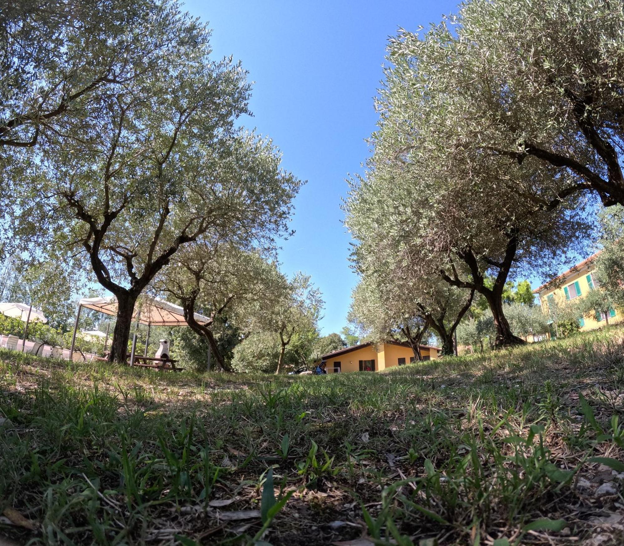 Agriturismo Gardenali Волта Мантована Стая снимка