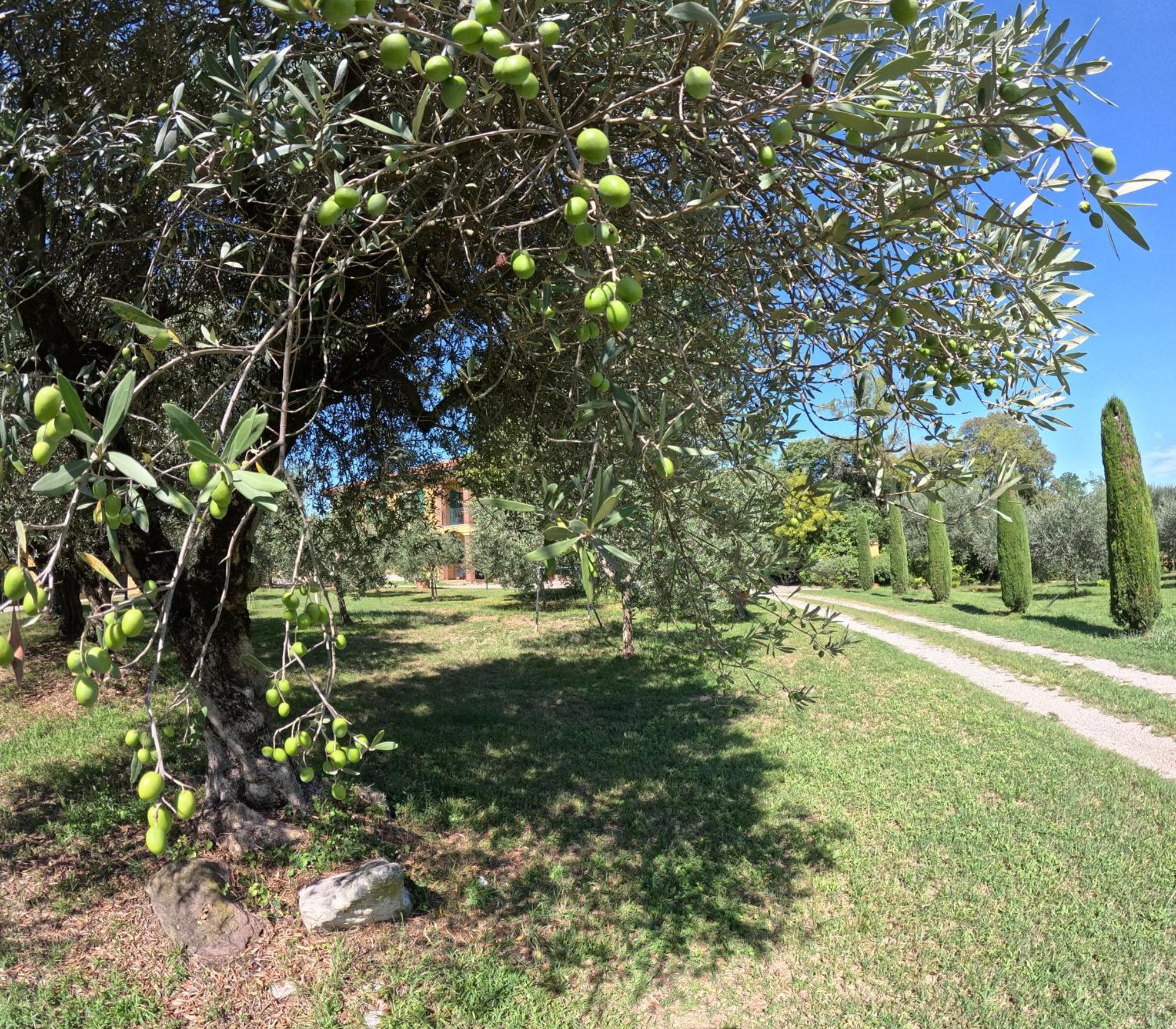 Agriturismo Gardenali Волта Мантована Екстериор снимка