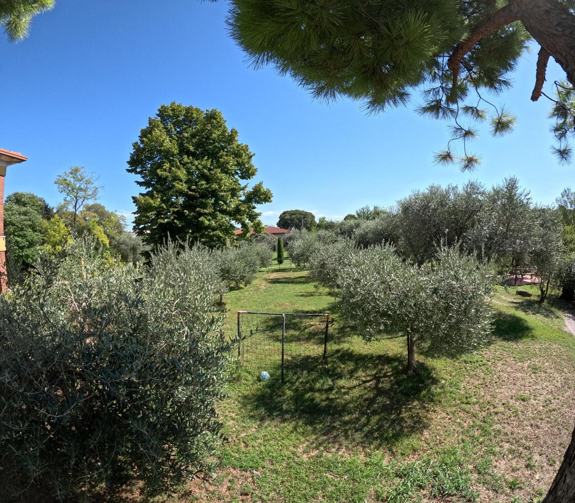 Agriturismo Gardenali Волта Мантована Екстериор снимка