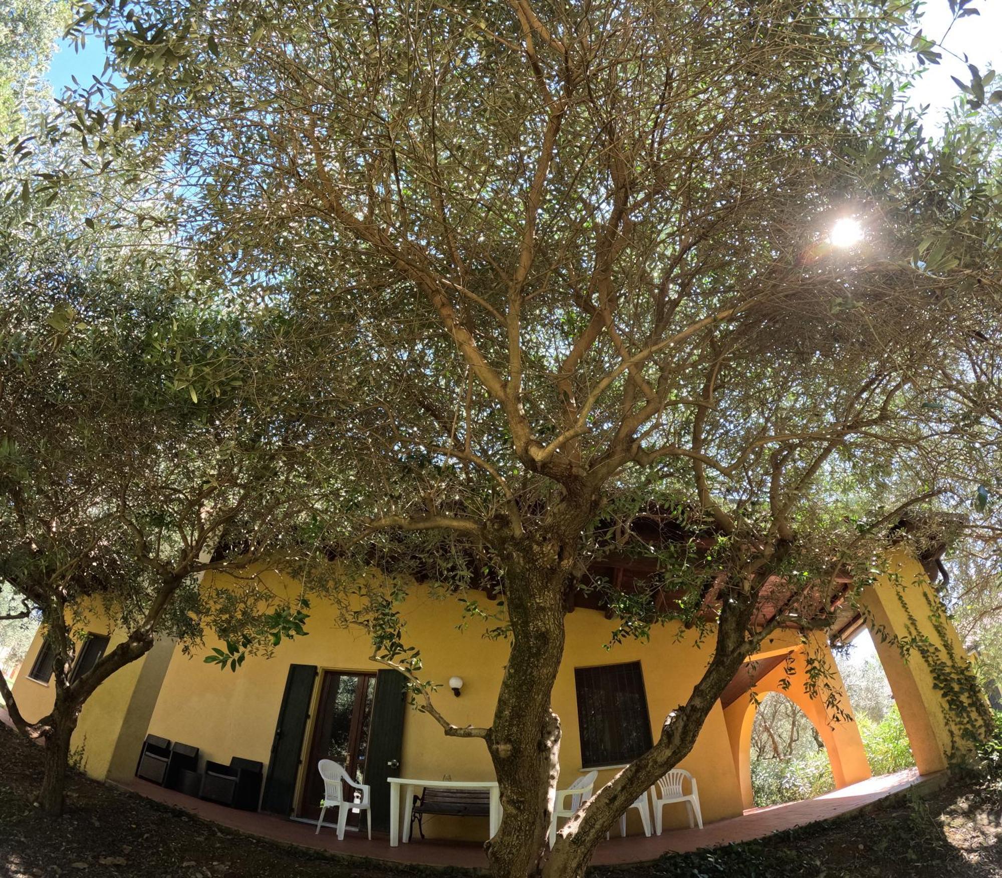 Agriturismo Gardenali Волта Мантована Стая снимка